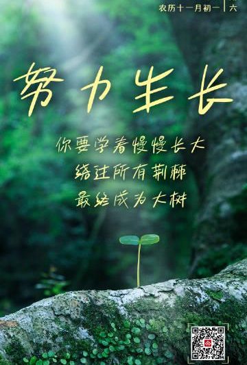 海外追剧党看过来！一招教你解锁《成长是时光镌刻的年轮》等国内热播内容