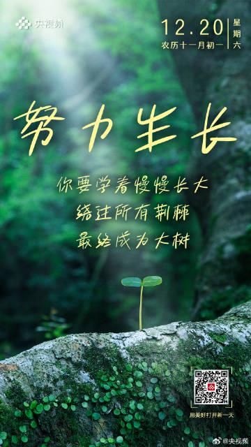 海外追剧党看过来!一招教你解锁《成长是时光镌刻的年轮》等国内热播内容