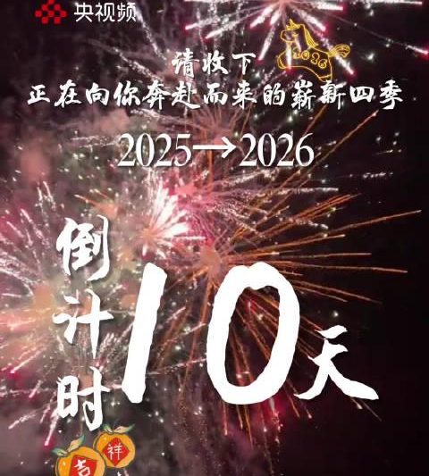 海外党年末破防：当国内跨年晚会刷屏时，我们还在为版权限制发愁？