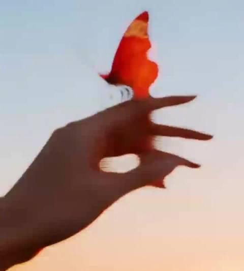 《彩》破圈！国风AI单曲引爆网络，海外华人如何解锁这份“数字诗篇”？