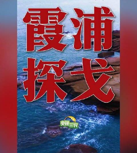 福建霞浦这条沿海公路火了！98公里串起山海美景，自驾攻略看这篇