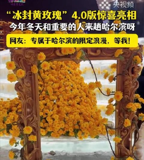 海外追剧党破防了！当国内冰封玫瑰刷屏时，我们却在为“地区限制”发愁？