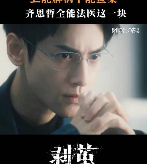 海外华人追剧遇阻？别急，三步教你解锁国内影视资源，罗云熙新剧《剥茧》也能轻松看