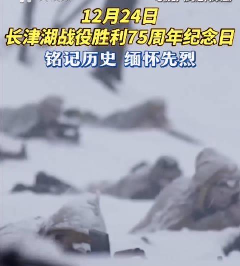 海外华人看不了国内影视剧？别急，这招让你秒解地区限制烦恼