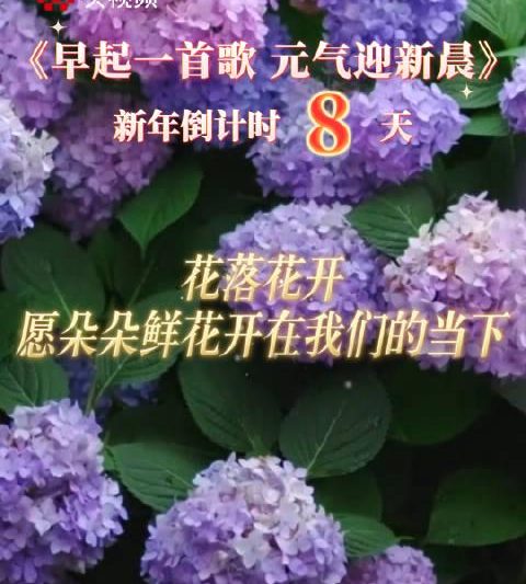 身在海外看不了莫文蔚毛不易新歌MV？别急，这份解锁指南请收好！