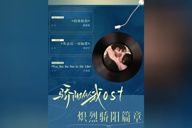 海外华人追剧指南：如何轻松解除地区限制，畅享《骄阳似我》等热门影视OST