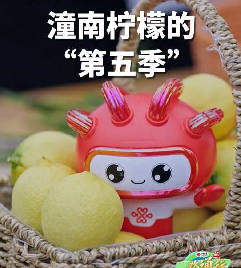 联通5G直播解锁潼南柠檬“第五季”！看科技如何让农产品跨越时空限制