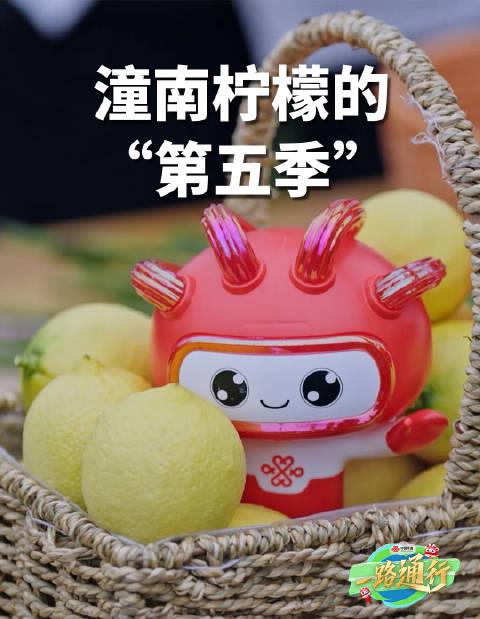 联通5G直播解锁潼南柠檬“第五季”!看科技如何让农产品跨越时空限制
