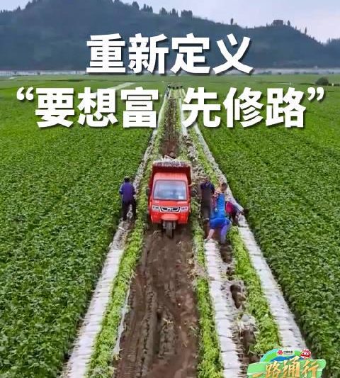 海外华人别错过！揭秘中国联通如何用“网路”加速农产品从田间到舌尖