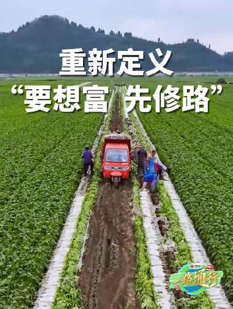 海外华人别错过!揭秘中国联通如何用“网路”加速农产品从田间到舌尖