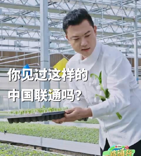 海外追剧党看过来！还在为“地区限制”发愁？手把手教你解锁国内热门综艺影视