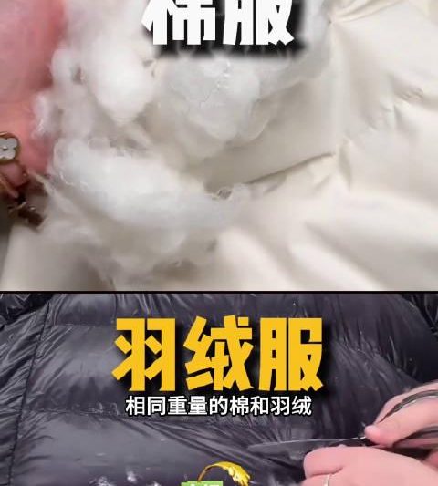 羽绒服VS棉服，谁才是冬季保暖王者？80秒看懂选购秘诀，别再花冤枉钱！