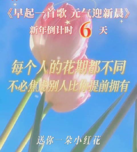 海外追剧党必看！告别“仅限中国大陆”，这份2026年追更指南请收好