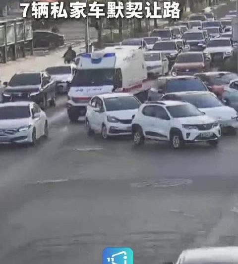 海外华人看不了国内热播剧？别急，这份“破限”指南帮你解决！