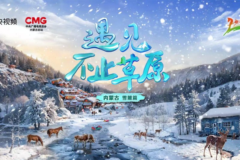 海外华人看不了国内节目？别急！先来云游这片冰雪秘境，解锁你的“乡愁”播放器