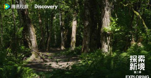 海外华人追剧看综艺遇阻?手把手教你解除地区限制,畅享国内影音