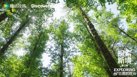 海外华人追剧看综艺遇阻?手把手教你解除地区限制,畅享国内影音