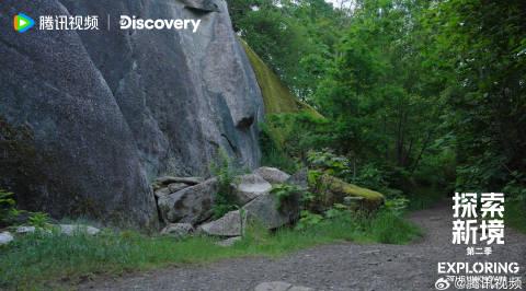 海外华人追剧看综艺遇阻?手把手教你解除地区限制,畅享国内影音