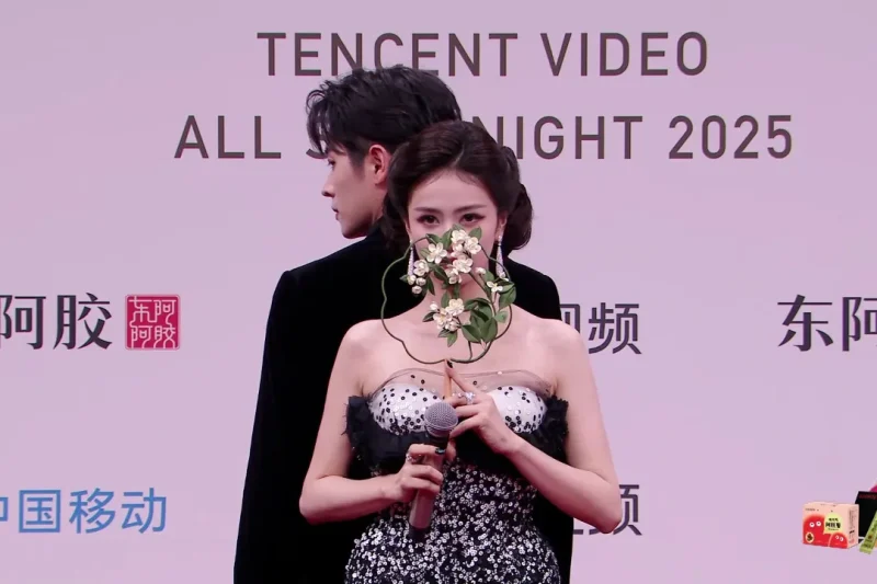 海外华人实用指南：轻松解除国内视频音乐综艺的地区播放限制