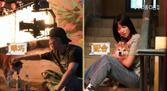 海外华人追剧新烦恼?《时差一万公里》全网首播,这些限制让你看不了!