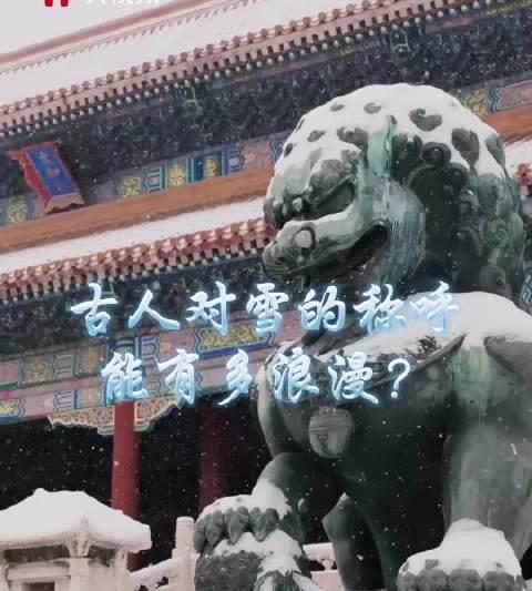 人在海外，想追《大雪》里的诗意？别让地区限制冻住你的乡愁
