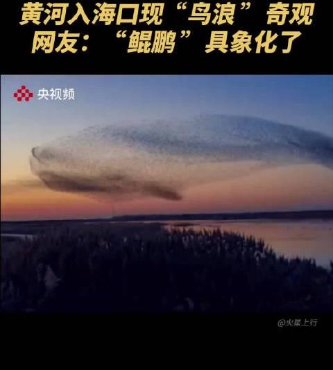 海外追剧党必看！一招解锁国内影视资源限制，告别卡顿与“仅限大陆”