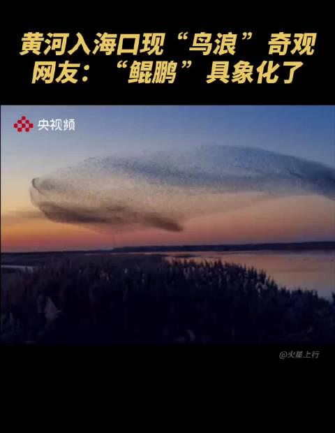 海外追剧党必看!一招解锁国内影视资源限制,告别卡顿与“仅限大陆”