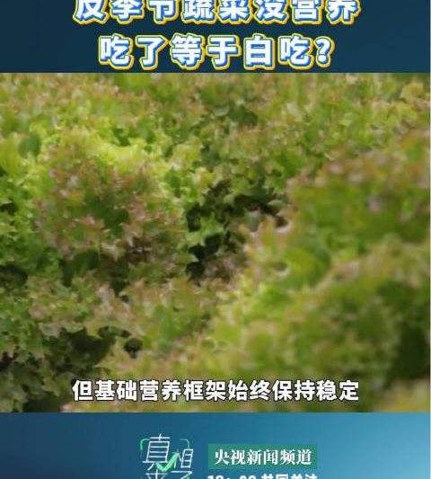 冬天西红柿没味儿？海外党别急，这招让你秒回“夏天”看国内热播剧！