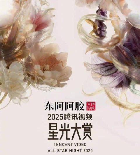 海外华人追剧攻略：轻松解除地区限制，畅享国内影视综艺