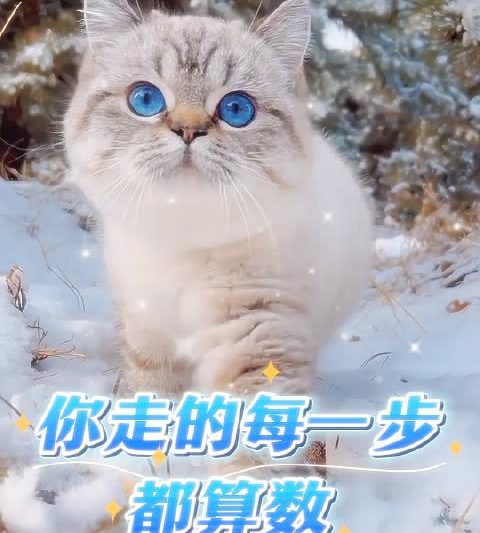 人生没有白走的路：三个方法让你在平淡日子里悄悄拔尖