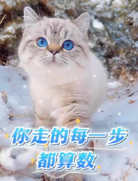 人生没有白走的路:三个方法让你在平淡日子里悄悄拔尖