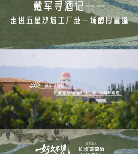 老友重逢选酒指南：如何挑一瓶让三十年情谊升温的“宝藏酒”？