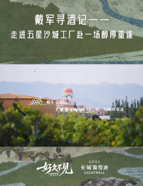 老友重逢选酒指南:如何挑一瓶让三十年情谊升温的“宝藏酒”?