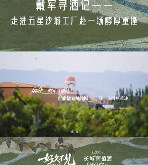 老友重逢如何选酒不踩雷？资深品酒师带你探秘五星酒厂，解锁微醺仪式感