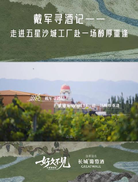 老友重逢如何选酒不踩雷?资深品酒师带你探秘五星酒厂,解锁微醺仪式感